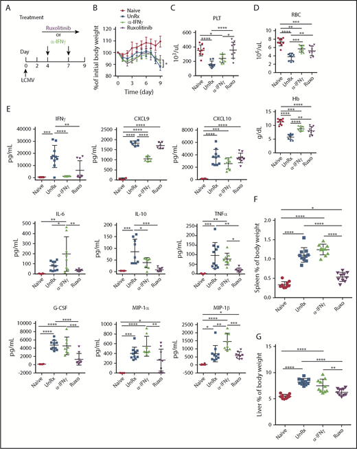 Figure 2. Ruxolitinib (Ruxo) targets inflammation in a murine model of primary HLH via IFN-γ–dependent and -independent mechanisms. (A) LCMV-infected Prf1−/− mice were left untreated (UnRx) or were treated with αIFN-γ or Ruxo, as shown. On day 9, mice were euthanized and analyzed. Uninfected Prf1−/− mice (Naive) were used as a control. (B) Change in body weight (as a percentage of initial body weight) during the course of the experiment. Body weight percentage was calculated as (actual body weight/ initial body weight) × 100. Peripheral blood samples were analyzed for the number of platelets (PLT) (C) and the number of red blood cells (RBC) and for the levels of hemoglobin (Hb) (D). (E) Levels of serum cytokines were determined using Luminex. (F) Splenomegaly was assessed as a percentage of body weight and calculated as (spleen weight/actual body weight) × 100. (G) Hepatomegaly was assessed as a percentage of overall body weight and was calculated as (liver weight/actual body weight) × 100. Each data point represents 1 mouse. Data were collected from 2 independent experiments and are shown are the mean values ± standard deviation. The total number of mice per group was n = 10 each for Naive, UnRx, αIFN-γ, and Ruxo. For cytokine analysis, the total number of mice per group was n = 6 (Naive), n = 10 (UnRx), n = 8 (αIFN-γ), and n = 9 (Ruxo). Outliers were excluded using Grubb’s test. *P < .05, **P < .01, ***P < .001, ****P < .0001.