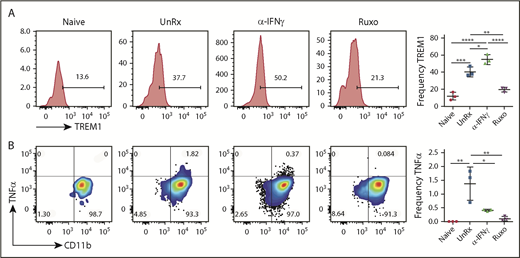 Figure 6. Ruxolitinib (Ruxo) reduces neutrophil activation in primary HLH. (A) Representative plots showing surface expression of TREM-1 on neutrophils. Graph depicts the frequency of splenic TREM-1+ neutrophils (right panel). (B) Representative plots showing intracellular TNF-α staining in splenic neutrophils gated on TCRb−CD11b+Ly6CintLy6G+ cells from naive or LCMV-infected Prf1−/− mice that were treated or not with αIFN-γ or Ruxo. Graph depicts the frequency of TNF-α+ neutrophils (right panel). Data (mean ± standard deviation) are representative of 2 independent experiments (n = 3 mice per group). *P < .05, **P < .01, ***P < .001, ****P < .0001.