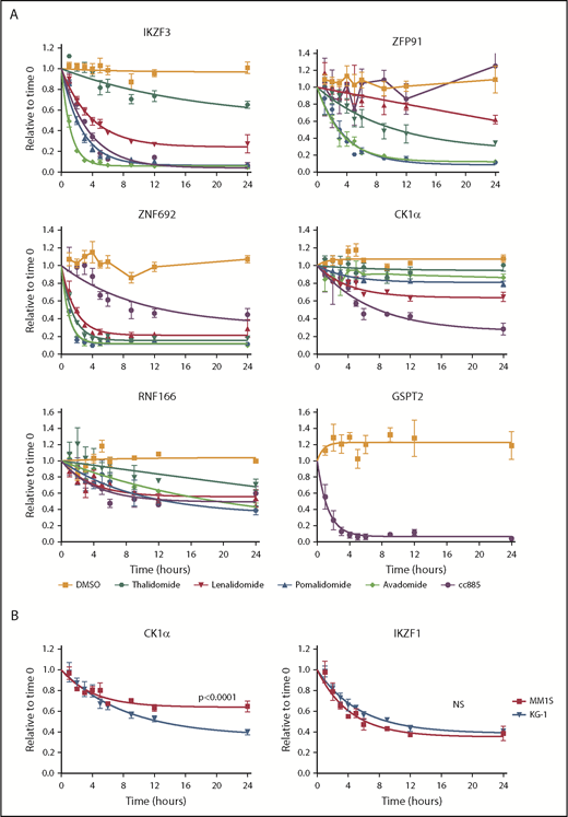 Figure 3. Kinetics of degradation differ between drugs. (A) Levels of IKZF3, ZFP91, ZNF692, CK1α, RNF166, and GSPT2 protein as measured by the iMRM assay following treatment of MM1S cells for the indicated period of time with vehicle (orange), 10 µM thalidomide (dark green), 1 µM lenalidomide (red), 1 µM pomalidomide (blue), 1 µM avadomide (light green), or 0.1 µM CC-885 (purple). Protein levels were normalized to housekeeping proteins (β-actin and GAPDH) and the level at the start of the experiment was normalized to 1. Data are mean ± SEM. Curves represent the nonlinear regression (n ≥ 3 replicates). (B) Levels of CK1α and IKZF1 protein as measured by the iMRM assay in MM1S (red) and KG-1 (blue) cells after treatment with 1 µM lenalidomide. Curves represent the nonlinear regression. n ≥ 3 replicates; P values are from a sum of squares F test. NS, nonsignificant (corrected for multiple hypothesis testing).
