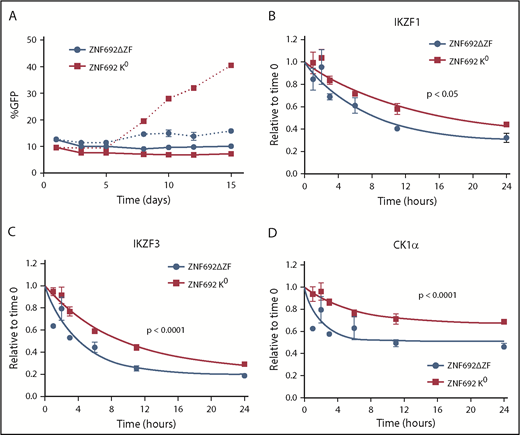 Figure 5. Substrates compete for access to CRBN. MM1S cells were transduced with lentivirus-expressing GFP and either a degron-deleted or K0 version of ZNF692. (A) Relative growth was assessed by means of flow cytometry after treatment with vehicle (solid lines) or 1 µM lenalidomide (dashed lines). Data are mean± SEM and are representative of 3 independent experiments. (B-D) Relative protein level as measured using the iMRM assay. Protein levels were normalized to a housekeeping factor and the level at the start of the experiment was normalized to 1. Curves represent the nonlinear regression. P values are from a sum of squares F test. Data are mean ± SEM (n = 3 replicates). ZNF692ΔZF, full-length ZNF692 protein with the CRBN-interacting zinc finger (amino acids 417-439) deleted; ZNF692 K0, full-length ZNF692 with every lysine changed to arginine.