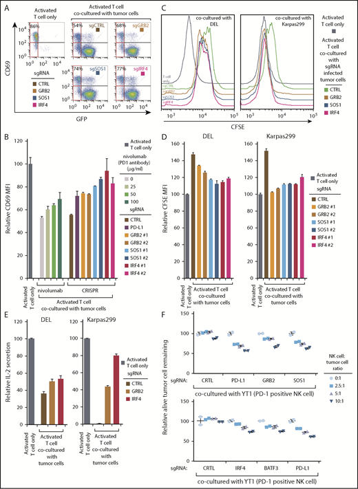 Figure 7. GRB2, SOS1, and IRF4 are required for ALK+ ALCL immunosuppression. (A) ALCL line DEL was infected with GRB2, SOSO1, IRF4, or Ctrl sgRNAs along with GFP, selected and induced to expression, after coculture with PD-1 expressing Jurkat T cells (GFP−; tumor: T cell ratio = 3:1) for 24 hours. T-cell activation was measured by CD69 expression. Shown are the percentage of CD69-positive T cells (GFP−) in each coculture condition. (B) PD-1-expressed Jurkat T cells were cocultured with ALCL cells (DEL) in the presence of indicated concentration of PD1 antibody nivolumab or with DEL infected with PD-L1, GRB2, SOSO1, IRF4, or Ctrl sgRNAs for 24 hours. Relative CD69 expression was measured by flow cytometry and normalized to the activated T-cell-only controls. Tumor: T-cell ratio = 3:1. (C-D) ALCL lines DEL and Karppas299 were infected with indicated sgRNAs, selected and induced to expression, after coculture with PD-1-expressed Jurkat T cells for 4 days. T-cell proliferation was measured by CFSE level. Shown are the CFSE staining histogram (C) and the relative CFSE MFI normalized to the activated T-cell-only controls (D). Tumor: T-cell ratio = 3:1. (E) ALCL lines DEL and Karppas299 were infected with indicated sgRNAs, selected and induced to expression, after being cocultured with PD-1 expressed Jurkat T cells. The IL-2 section was measured by ELISA and normalized to activated T-cell-only controls. Tumor: T-cell ratio = 3:1. (F) DEL line was infected with indicated sgRNAs, selected and induced to expression, after coculture with PD-1-positive NK cell line YT1 at the indicated ratio. The relative viable tumor cells remaining was shown. All error bars denote SEM of triplicates in panels B, D, and E, and SEM of duplicates in panel F.