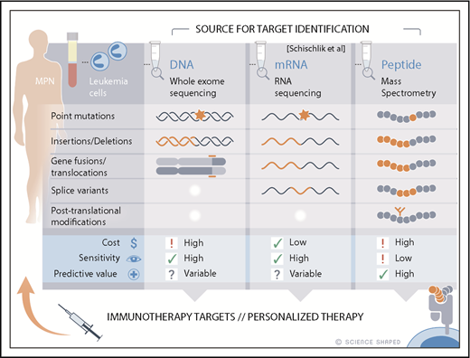 Detection of neoantigens (complexes of altered peptides and HLA molecules). DNA sequencing yields information about changes in the amino acid composition that arise from somatic mutations, insertions, deletions, and translocations (gene fusions). Schischlik et al show that mRNA sequencing provides similar results plus additional information about splice variants that arise from mutations in genes encoding mRNA splicing factors. Direct identification of neoantigens involves elution of peptides from HLA molecules and sequencing by MS. A unique feature of MS is the ability to detect peptides with tumor-specific posttranslational modifications such as phosphorylation.