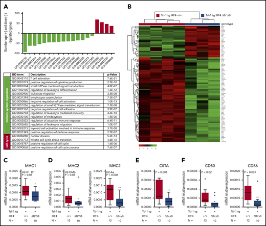 RNA-Seq and real-time PCR validation in Tcl-1 tg IRF4 WT and deficient CLL cells. (A) Number of significantly downregulated (negative y-axis, green bars) and upregulated genes (positive y-axis, red bars) corresponding to enriched GO terms (x-axis) in Tcl-1 tg IRF4 ΔB/ΔB (N = 3) as compared with Tcl-1 tg IRF4+/+ mice (N = 4). GO term descriptions and P values are indicated in the table. (B) Heatmap of differentially regulated genes within the GO term 0042110 T-cell activation. The counts per million were used for heatmap generation; unsupervised clustering (Euclidean) was used. (C) Validation of RNA-Seq data by real-time PCR in purified CLL cells derived from the spleen of Tcl-1 tg IRF4+/+ (red) and Tcl-1 tg IRF4 ΔB/ΔB (blue) mice. PCR was performed with TaqMan primers for the MHC1 genes H2-K1 and D1, (D) the MHC2 genes H2-Dmb and H2-Aa, (E) the MHC2 transactivator CIITA, and (F) the costimulatory molecules CD80 and CD86. Real-time PCR data were normalized to 18S and the mRNA relative expression ratio calculated according to the delta CT method.