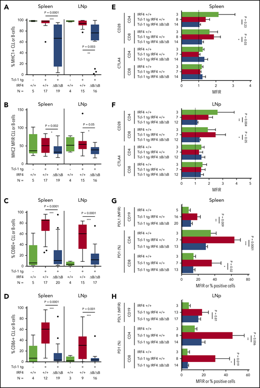 Surface marker expression in Tcl-1 tg IRF4+/+ and Tcl-1 tg IRF4 ΔB/ΔB mice. (A) MHC1, (B) MHC2, (C) CD80, and (D) CD86 surface expression was measured by flow cytometry in healthy C57/BL6 WT littermates (green), Tcl-1 tg IRF4+/+ (red), and Tcl-1 tg IRF4 ΔB/ΔB (blue) CD19+ B cells or CD19+ CD5+ CLL cells derived from either the spleen or the LNp. All measurements were performed with a proper isotype control to define negative cell populations or to calculate the MFIR. (E) The surface expression of CTLA4 and CD28 was measured in CD8 or CD4+ T cells using flow cytometry in cells derived from the spleen or (F) the lymph nodes. MFIR were calculated using an isotype control. Analyzed mouse numbers are depicted on the y-axis. (G) Flow cytometry of PD-L1 MFIR in CLL cells and percent PD-1+ cells in either CD4+ or CD8+ T cells. Genotypes and mouse numbers are depicted on the y-axis. All measurements were isotype controlled and were performed in cells derived from either the spleen or (H) the lymph nodes. MFIR, mean fluorescence intensity ratio.