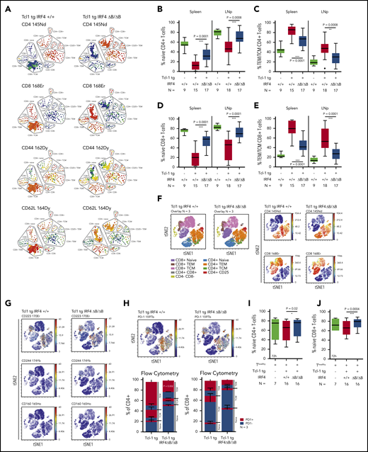 Naïve and antigen-experienced T-cell subsets in Tcl-1 tg IRF4-proficient and IRF4-deficient mice and in vitro cocultures. (A) SPADE (spanning-tree progression of density normalized events) analysis from single-cell mass cytometry data (Helios, CyTOF) showing the splenic T-cell compartment of leukemic Tcl-1 tg IRF4+/+ or Tcl-1 tg ΔB/ΔB mice. The color code represents staining intensities ranging from blue (no expression) to red (high expression). (B) Naïve and (C) antigen-experienced CD4+ T cells derived from the spleen or the lymph nodes of Tcl-1 tg IRF4+/+ or Tcl-1 tg ΔB/ΔB leukemic mice measured by flow cytometry. (D) Naïve and (E) antigen-experienced CD8+ T cells derived from the spleen or the lymph nodes of Tcl-1 tg IRF4+/+ or Tcl-1 tg ΔB/ΔB leukemic mice measured by flow cytometry. (F) Single-cell mass cytometry data showing the splenic T-cell compartment of leukemic Tcl-1 tg IRF4+/+ and Tcl-1 tg ΔB/ΔB mice. Color-coded viSNE overlay plots assign T-cell subsets to the TSNE1/TSNE2 coordinate system (left). viSNE intensity plots (blue = no expression to red = high expression) of CD4 and CD8 are shown on the right. (G) Expression of CD223 (Lag-3), CD224, CD160, and (H) PD-1 in the splenic T-cell compartment of leukemic Tcl-1 tg IRF4+/+ and Tcl-1 tg ΔB/ΔB mice. All viSNE plots are derived from the same experiment and show concatenated information of 3 mice per genotype. Data were validated using classical flow cytometry and results are shown as a stacking plot. PD-1+ cells are depicted in red, PD-1− cells in blue in naïve, TCM, and TEM CD4+ or CD8+ T cells. (I) Naïve CD4+ and (J) CD8+ T cells derived from healthy C57/BL6 IRF4+/+ mice measured 72 hours after coculture with Tcl-1 tg IRF4+/+ (red) or Tcl-1 tg IRF4 ΔB/ΔB (blue) tumors derived from the spleen of leukemic mice. Green box plots show control CD4+ or CD8+ T cells cultured in absence of tumor cells. TEM/TCM represents the total amount of both TEM and TCM cells. 145Nd, 168Er, 162Dy, 164Dy, 170Er, 174Yb, 165Ho, and 159Tb refer to rare metal conjugates of antibodies used in single-cell mass cytometry.