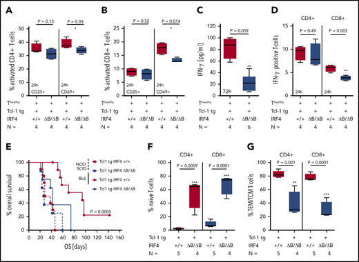 In vitro activation of healthy T cells and adoptive transfer. (A) CD4+ and (B) CD8+ T cells derived from healthy C57/BL6 IRF4+/+ mice were activated with CD3/CD28 beads and coincubated with CLL tumor cells derived from the spleen of either Tcl-1 tg IRF4+/+ or Tcl-1 tg ΔB/ΔB leukemic mice for 24 hours. The activation status of T cells was measured using CD25 and CD69 antibodies by flow cytometry. (C) IFN-γ secretion was measured 72 hours after CD3/CD28 bead activation in cell culture supernatants using enzyme-linked immunosorbent assay and (D) intracellular flow cytometry. (E) CLL tumor cells derived from the spleen of either Tcl-1 tg IRF4+/+ (red) or Tcl-1 tg ΔB/ΔB (blue) leukemic mice were transplanted into C57/BL6 WT (solid lines) or NOD-SCID recipients (dashed lines) using intraperitoneal injection. Overall survival of recipient mice is shown as Kaplan-Maier analysis. (F) Naïve and (G) antigen-experienced CD4+ and CD8+ T cells derived from the spleen of Tcl-1 tg IRF4+/+ or Tcl-1 tg ΔB/ΔB tumors transplanted in C57/BL6 recipients.