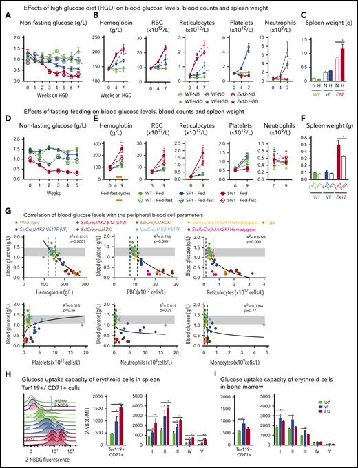 Mutant JAK2–induced MPNs were vulnerable to modulation of nutrients in vivo. (A) Mice were induced by tamoxifen and treated with normal diet (ND) or HGD for 7 weeks. Time course of nonfasting blood glucose levels (n = 5-6 mice per treatment and genotype). (B) Peripheral blood counts of HGD- and ND-treated mice (n = 5-6 mice per genotype). (C) Spleen weight after 7 weeks of ND or HGD (n = 5-6 mice per treatment and genotype). (D) Nonfasting blood glucose levels in mice exposed to fed-fasting cycles or continuously fed with ND (n = 4-5 mice per genotype and condition). (E) Peripheral blood counts of mice exposed to fed-fasting cycles or continuously fed with ND. (F) Spleen weight in mice exposed to fed-fasting cycles or ND (n = 4-5 mice per genotype and condition). (G) Correlation of nonfasting blood glucose levels with peripheral blood counts. Peripheral blood counts and nonfasting blood glucose levels were monitored 6 to 8 weeks after tamoxifen injections (n = 4-5 mice per genotype). (H-I) Glucose uptake capacity of erythroid cells in spleen monitored by 2-NBDG fluorescence. After 4 hours of starvation, cells from spleen or BM were exposed to 2-NBDG for 30 minutes and analyzed by flow cytometry. (H) Histograms show 2-NBDG fluorescence in splenic CD71+Ter119+ cells, with quantification of the mean fluorescence intensity (MFI) presented as bar graphs (middle). 2-NBDG MFI in subsets of erythroid cells (I-V) (right). (I) Glucose uptake capacity of erythroid cells in bone marrow (n = 6 mice per genotype). All data are presented as mean ± standard error of the mean. One- or 2-way analyses of variance followed by Tukey’s multiple comparison tests were used for multiple-group comparisons. *P < .05, **P < .01. RBC, red blood cell.