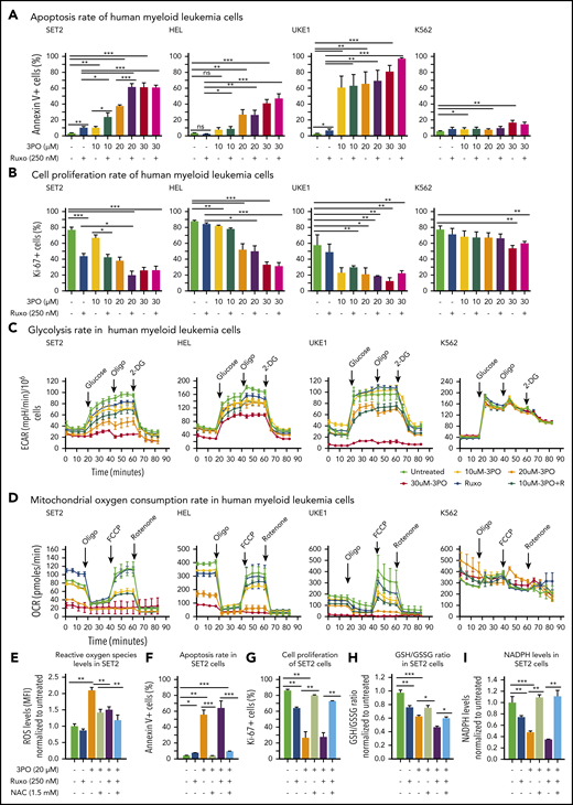 Dual treatment with 3PO and ruxolitinib induces cell-proliferation arrest and apoptosis in human cell lines expressing VF by altering redox homeostasis. (A) Apoptosis rate was determined by percentage of annexin V+ cells in indicated human myeloid leukemia cells after treatment with 3PO and/or ruxolitinib for 48 hours (n = 3 independent experiments). (B) Cell proliferation was determined by percentage of Ki67+ cells in indicated human myeloid leukemia cells in the presence of 3PO and/or ruxolitinib for 48 hours (n = 3 independent experiments). (C) Measurements of extracellular acidification rate (ECAR), indicative of glycolytic rates, in SET2, HEL UKE1, and K562 cells after treatment with 3PO and/or ruxolitinib for 12 to 16 hours (n = 3 independent experiments). (D) Measurements of OCR, indicative of mitochondrial oxidative phosphorylation, in indicated cells after treatment with 3PO and/or ruxolitinib for 12 to 16 hours (n = 3 independent experiments). (E) Total reactive oxygen species (ROS) levels in SET2 cells after treatment with 3PO and/or ruxolitinib for 24 hours. Cells were pretreated with 1.5 mM of N-acetyl-cysteine (NAC) for 6 hours. Data were normalized to vehicle-treated control (n = 3 independent experiments). (F-G) Apoptosis rate (F) and cell proliferation (G) were determined in SET2 cells treated with 3PO and/or ruxolitinib and/or NAC for 48 hours. Cells were pretreated with NAC for 6 hours. Normalized values to vehicle-treated controls are shown. (H-I) Ratio of glutathione (GSH)/glutathione disulfide (GSSG) (H) and NADPH levels (I) in SET2 cells treated with 3PO and/or ruxolitinib for 12 hours. Cells were pretreated with NAC for 6 hours. Normalized values to vehicle-treated controls are shown. All data are presented as mean ± standard error of the mean. Two-way analyses of variance with subsequent Bonferroni posttests were used. See also supplemental Figure 7. *P < .05, **P < .01, ***P < .001. MFI, mean fluorescence intensity.