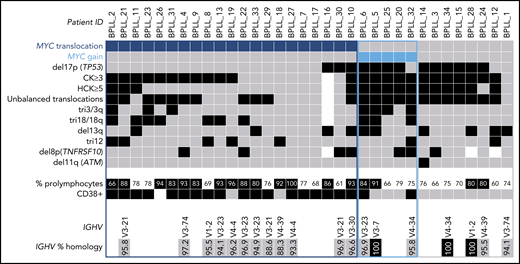 Distribution of chromosomal abnormalities detected in 34 patients with B-PLL with 3 cytogenetic subgroups of patients: MYC translocation, MYC gain, and no MYC aberration. Each column represents 1 patient, and each row 1 particular genetic or laboratory parameter. Color code: black or blue, presence; gray, absence; white, not available. CK, ≥3 chromosomal abnormalities; HCK, ≥5 chromosomal abnormalities. The percentages of prolymphocytes (indicated in black boxes) correspond to above-median values, relative to the cohort as a whole.