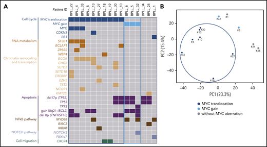 WES and RNA-seq. (A) Distribution of the chromosomal aberrations and mutations in the 3 cytogenetic subgroups (MYC translocation, MYC gain, and no MYC aberration) in the 16 cases analyzed by using WES. Chromosomal abnormalities: gray, absence; color, presence. Mutations: gray, wild type; color, mutated. (B) Principal component analysis of differential gene expression patterns for 12 samples with various cytogenetic abnormalities.