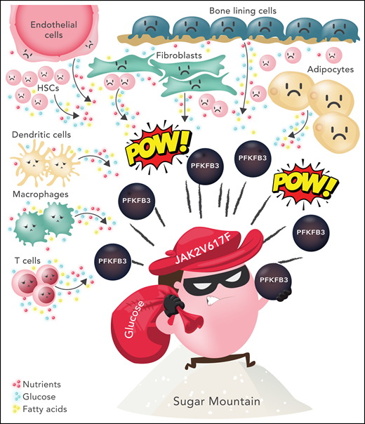 Glucose subversion by JAK2 V617F-positive MPNs. JAK2 V617F-positive cells exist within a tumor microenvironment consisting of multiple cell types, including fibroblasts, endothelial cells, bone lining cells, adipocytes, and neighboring non-mutant hematopoietic stem and progenitor cells. Surrounding immune cells (eg, dendritic cells, macrophages, and T cells) are thought to be overall immunosuppressive. Each cell type has unique metabolic demands. In this cartoon, an MPN cell is depicted using Pfkfb3, a rate-limiting enzyme in glycolysis, to increase glycolysis and usurp nutrients (glucose, fatty acids, amino acids) from the microenviroment. It is assumed that the relative glucose deprivation of surrounding cells leads to a competitive advantage for the MPN clone. HSC, hematopoietic stem/progenitor cells. Professional illustration by Somersault18:24.
