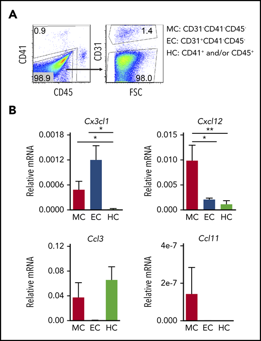 HBA cell subset-specific expression of chemokines at E10.5. (A) Flow cytometric sorting strategy for enrichment of MCs (CD31−CD41−CD45−), ECs (CD31+CD41−CD45−), and HCs (CD41+ and/or CD45+). (B) Relative expression of messenger RNA (mRNA) for chemokine genes Cx3cl1, Cxcl12, Ccl3, and Ccl11 as normalized to actin in E10.5 HBA sorted MC, EC, and HC. Standard error of the mean (SEM) is shown. n = 5; *P < .05; **P < .01.