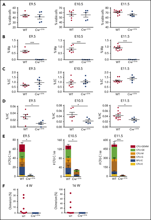 HS/PCs are reduced in the E9.5 to E11.5 HBA in Csf1r-directed DTA depletion. Percentages of (A) viable HBA cells as determined by Hoescht dye exclusion, (B) CD45+F4/80+CD11b+ macrophages, (C) CD31+CD45− ECs, and (D) CD45+F4/80−CD11b− HCs from E9.5 to E11.5 WT and Csf1r-Cre+/DTA (Cre+/DTA) littermates in FACS analysis. Each dot or square represents 1 WT or Cre+/DTA embryo. SEM is shown. n = 3; *P < .05; ***P < .001. (E) CFU-C per ee of HBA cells in E9.5, 10.5, and 11.5 WT and Cre+/DTA littermates. Colony type is indicated by color bars. E9.5 n = 2; E10.5 n = 3; E11.5 n = 3; *P < .05; ***P < .001. (F) Percentage of donor-cell (Ly5.2) chimerism in the peripheral blood of irradiated (Ly5.1) recipients injected with WT or Cre+/DTA E11.5 (44 to 48 sp) HBA cells as determined by Ly5.1/Ly5.2 FACS analysis. Eight recipients received WT (1 to 3 ee) and 8 recipients received Cre+/DTA (1 to 3) HBA cells. Dots and squares indicate individual recipients of WT or Cre+/DTA cells, respectively, that were examined at 4 and 16 weeks (W) posttransplantation. n = 5.
