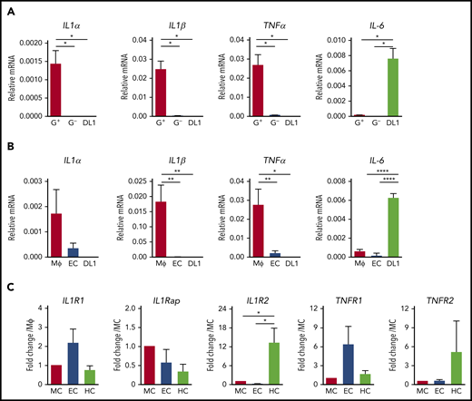 Genes of proinflammatory pathways are expressed in HBA cells. (A) Relative mRNA expression of IL1α, IL1β, TNFα, and IL-6 normalized to actin in GFP+ (G+) and GFP− (G−) cells in the E10.5 MacGreen HBA as determined by qRT-PCR. OP9-DL1-B1 (DL1) is the negative control. n = 3; *P < .05. (B) Relative mRNA expression of IL1α, IL1β, TNFα, and IL-6 as normalized to actin in macrophages (MΦ, CD45+CD11b+F4/80+Gr1−), ECs (CD31+CD45−) in the E10.5 HBA as determined by qRT-PCR. OP9-DL1-B1 (DL1) is the negative control. n = 4; *P < .05; **P < .01; ****P < .0001. (C) Fold-change in the relative mRNA expression of IL1 and TNF receptor genes (IL1R1, IL1Rap, IL1R2, TNFR1, TNFR2) in E10.5 HBA EC and HCs as compared with MCs. IL1R1, IL1Rap, IL1R2, TNFR2, n = 3; TNFR1, n = 4; *P < .05.