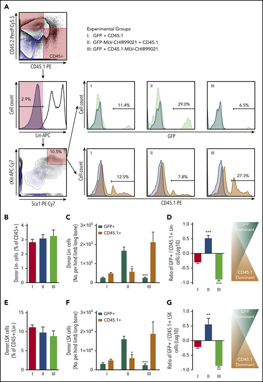 Effect of targeted pseudoautocrine bioactivity of GSK3 inhibitor released by MLVs on donor HSCs/HPCs. (A) Flow cytometry gating strategy for determining the HPC/HSC (Lin−) and HSC-containing compartments of donor cells found in BM of IUHCT recipients (Balb/c fetuses); samples from the 3 groups (light blue contour plots: 45.1− and 45.2− double-negative controls or CD117− and Sca1− double-negative controls; light blue histograms: Lin−, GFP−, or CD45.1− negative controls). (B) Proportion of donor Lin− cells (expressed as a percentage of the sum of CD45.1+ and CD45.2+ BM-MNCs) was 2.8% ± 0.2% in group 1, and no differences were observed among experimental groups (Lin−: group 2, 3.1% ± 0.3% vs group 3, 3.3% ± 0.4%). (C) Absolute number of donor Lin− cells (per hind limb long bone); significant increase in hematopoietic progenitor number only in the donor cell subpopulation subjected to targeted GSK3 inhibition (group 1: Lin−, GFP+, 2.5 × 103 ± 0.4 × 103 vs Lin−, CD45.1+, 4.8 × 103 ± 0.5 × 103; group 2: Lin−, GFP+, 16.7 × 103 ± 1.9 × 103 vs Lin−, CD45.1+, 5.7 × 103 ± 1.5 × 103; group 3: Lin−, GFP+, 2.5 × 103 ± 0.3 × 103 vs Lin−, CD45.1+, 21.2 × 103 ± 5.2 × 103). (D) Ratio of GFP+/CD45.1+ Lin− cells. (E) Proportion of donor primitive LSK cells (expressed as a percentage of the Lin− cells in the sum of CD45.1+ and CD45.2+ BM-MNCs); no differences were observed among experimental groups (LSK: group 1, 11.2% ± 0.6% vs group 2, 9.8% ± 1.5% vs group 3, 8.8% ± 1.4%). (F) Absolute number of LSK cells (per hind limb long bone); significant increase only in the donor cell subpopulation carrying MLV-CHIR99021s (group 1: LSK, GFP+, 3.1 × 102 ± 0.6 × 102 vs LSK, CD45.1+, 4.9 × 102 ± 0.7 × 102 CD45.1+ cells; group 2: LSK, GFP+, 16.1 × 102 ± 1.6 × 102 vs LSK, CD45.1+, 6.1 × 102 ± 1.9 × 102; group 3: LSK, GFP+, 2.4 × 102 vs LSK, CD45.1+, 18.8 × 102 ± 6.2 × 102. (G) Ratio of GFP+/CD45.1+ LSK cells. (C) *P < .05 group 2: Lin−, GFP+ vs Lin−, CD45.1+, **P < .001 group 3: Lin−, GFP+ vs Lin−, CD45.1+; (D) ***P < .0001 vs groups 1 and 2 or 1 and 3; (F) *P < .05 group 2: GFP+ vs CD45.1+, **P < .001 group 3: GFP+ vs CD45.1+; (G) **P < .001 vs groups 1 and 2 or 1 and 3.