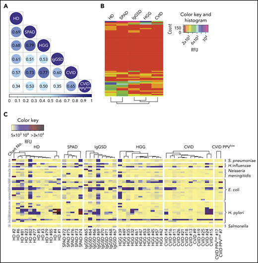 Recognition of bacterial carbohydrate epitopes in PADs. (A) Spearman’s rank correlation matrix for IgG recognition of pooled sera to all 121 bacterial carbohydrate structures identified by BCSDB analysis on the CFG array. (B-C) Recognition of bacterial glycans by individual sera screened on the NCFGv2. (B) Dendrogrammed reactivity matrix based on the mean RFU values for all 65 glycans identified by BCSDB analysis. (C) Heat map presentation of glycan-specific IgG binding to selected epitopes from S pneumoniae (n = 2), H influenzae (n = 3), N meningitidis (n = 6), E coli (n = 15), H pylori (n = 15), and Salmonella spp (n = 2).