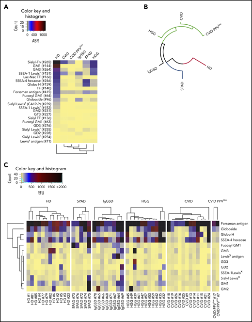 Recognition of TACAs by glycan-specific IgG in PAD. Recognition of TACAs by pooled serum IgG, as screened on the CFG array and depicted as dendrogrammed glycan reactivity matrix based on ABR (A) or as a radial dendrogram based on RFU values (B). (C) Heat map presentation based on RFU values illustrating the reactivity of individual serum IgG to TACAs, as revealed by screening on the NCFGv2.