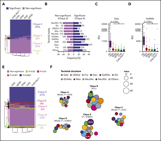 Deviant recognition of distinct terminal carbohydrate moieties and specific loss of Galα reactivity in symptomatic PAD. (A) Binary deviation map (P < .05) of IgG immunoprofiles compared with healthy controls based on 2-way analysis of variance and hierarchical clustering analysis with identification of cliques 1 to 4. The rows in this matrix represent the binary antibody-reactivity profiles, and the columns represent the deviation immune profiles for each PAD subgroup. (B) Terminal carbohydrate moieties of epitopes in reactivity clique 2 (nonsignificant deviation) and clique 4 (significant deviation). Numeric occurrence is indicated in parenthesis. Recognition of Galα (C) or GalNAc (D) epitopes within clique 4 (significant deviation). (E) Deviation map based on degree of significance with identification of cliques A through E. (F) Bubble chart displaying terminal glycan structure distribution across cliques A through E. The size key and percentage numbers represent the frequencies.