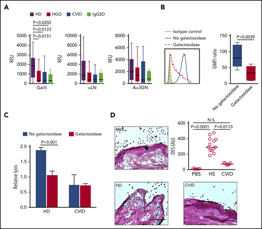 Diminished recognition of Galα-terminated glycan epitopes and reduced Galα-dependent xenogeneic anti-porcine reactivity of CVID and symptomatic IgGSD sera. (A) IgG antibody reactivity to Galili, αLN, and Aα3GN glycans, as assessed by suspension array (multiplex immunoassay). Individual sera from HDs (n = 18) or from HGG (n = 37), CVID (n = 15), and IgGSD (n = 8) patients were analyzed. Box-and-whisker diagrams were created by the Tukey method. The middle line is plotted at the median, and the box represents the interquartile range (difference between the 25th and 75th percentiles). Significant values are reported (Kruskal-Wallis test). (B) Reduced surface staining of anti-Galili monoclonal antibody reactivity following α-galactosidase treatment of porcine PK15 cells, as assessed by flow cytometry. Representative line graph (left panel) and summary (right panel). Student t test was used to calculate the P values. (C) ADCC activity of primary human NK cells against PK15 cells at an effector-to-target ratio of 10:1, in the absence or presence of α-galactosidase (n ≥ 3). Significant values are reported (Student t test). (D) Histopathologic analysis of pig skin damage in cryosections incubated with healthy and patient sera in the presence of healthy human leukocytes. Representative examples for each analyzed disease and control are shown (left panels and lower right panel; hematoxylin and eosin stain). The dashed lines indicate the dermal–epidermal junction. Scale bars, 75 µm. The damage induced was calculated as the dermal–epidermal separation (DES) normalized to the IgG concentration in the sera (upper right panel) (n ≥ 7). Significant values are reported (Kruskal-Wallis test). N.S., not significant; PBS, phosphate-buffered saline.