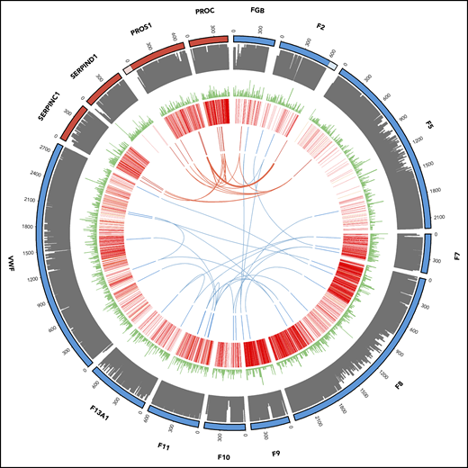 Oligogenic variants in patients with thrombotic (red) and coagulation (blue) disorders. From outside to inside: track 1, amino acid numbering for thrombotic (red) and coagulation (blue) genes (lighter shade denotes untranslated regions of the 3′ of the F2 gene and the 5′ of the PROS1 gene; track 2, amino acid conservation scores; track 3, variant frequency in gnomAD (minor allele frequency normalized scale to 1/106); track 4, disease-causing (red) and questionable disease-causing (orange) Human Gene Mutation Database variants; track 5 and arcs: reported variants in the 11 thrombotic (red) and 13 coagulation (blue) patients with the arcs representing oligogenic findings.