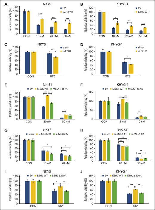 EZH2 loss of ubiquitination mediates bortezomib-sensitivity for NKTL cell lines. (A-B) Relative cell viability for treatment with bortezomib in (A) NKYS and (B) KHYG-1 cells overexpressing EZH2 wild-type. (C-D) Relative cell viability for treatment with bortezomib on (C) NKYS (5 nM) and (D) KHYG-1 (10 nM) cells upon EZH2 knock-down using siRNA. (E-F) Relative cell viability for treatment with bortezomib on (E) NK-S1 and (F) KHYG-1 cells overexpressing MELK wild-type or MELK T167A mutant. (G-H) Relative cell viability for treatment with bortezomib in (G) NKYS and (H) NK-S1 cells upon MELK knock-down. (I-J) Relative cell viability for treatment with 5 nM bortezomib in (I) NKYS and (J) KHYG-1 cells overexpressing EZH2 wild-type or EZH2 S220A mutant. Twenty hours of bortezomib treatment was used in all of these experiments. Cell survival was measured using CellTiter-Glo reagent. For all siRNA knock-down, bortezomib was added 48 hours after transfection. For all plasmid transfections, bortezomib was added 20 hours after transfection, and puromycin selection were used (1 µg/mL) along with bortezomib treatment. Data are shown as mean ± SD, N ≥ 3. *P < .05; **P < .01; ***P < .001.