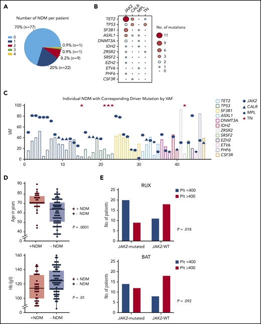 Baseline mutational analysis and correlation with clinical characteristics and treatment response. (A) Pie chart showing number of NDMs per patient. (B) Balloon plot showing association of driver mutations with NDMs with size and color of bubble corresponding to frequency of association; NDMs were more often associated with JAK2V617F mutations. (C) Column and dot plot showing variant allele frequencies (VAFs) of each NDM (column) with corresponding driver mutation (blue dot/triangle/diamond). Red star indicates patient with TN. Driver mutation VAF was higher in 66.67%, 87.5%, and 20% of JAK2-, CALR-, and MPL-mutated patients suggesting driver mutation acquisition first in these, although with the caveat that order of mutation acquisition can only be definitively assigned using single-cell methodologies.23 (D) Dot and box plots of age at trial entry in patients with NDMs compared with patients without NDMs; median age 71 vs 64 years, P = .0001 (top plot). Hemoglobin (Hb) level (mean Hb, 115 g/L) was lower in patients with NDMs compared with patients without NDMs (mean Hb, 125 g/L), P = .01 (bottom plot). Dots represent each individual patient and each horizontal line and box represent the median for age/mean for Hb and interquartile ranges, respectively, using the Mann-Whitney U test to compare median ages (non-normal distribution) and the Student t test to compare Hb means (normal distribution). (E) Post hoc analysis of 1-year platelet count responses; significantly more patients on RUX who were JAK2-mutated achieved platelet count (plt) <400 than non-JAK2–mutated patients (top bar chart). This difference was not seen within the BAT arm (bottom bar chart). JAK2, JAK2V617F; Plt < 400, platelet count of <400 × 109/L; Plt ≥ 400, platelet count of ≥400 × 109/L; TN, triple negative; WT, wild type.