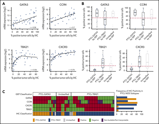 Antibody selection for the IHC algorithm. (A) Correlation between mRNA and IHC expression of GATA3, CCR4, TBX21, and CXCR3 in the training cohort. Positive correlation was observed between mRNA and the corresponding protein expression by IHC. The percentage of positivity was estimated in discrete increments of 10% and correlated with the mRNA gene expression obtained using HG U133 Plus 2 arrays. (B) Distribution of immunostain positivity in the corresponding GEP-defined molecular subtypes. Top panels, The PTCL-GATA3 subtype showed higher positivity for GATA3 and CCR4 immunostains compared with the PTCL-TBX21 subtype, with 50% being the best cutoff to separate the 2 subtypes. Bottom panels, The PTCL-TBX21 subtype showed higher positivity for TBX21 and CXCR3 compared with the PTCL-GATA3 subtype, with most PTCL-TBX21 cases showing ≥20% positivity for TBX21 and CXCR3, and most PTCL-GATA3 cases showing <20% positivity. These cutoffs were subsequently used for the IHC algorithm. (C) Heatmap representation of the GATA3, CCR4, TBX21, and CXCR3 immunostains in GEP-defined subtypes and IHC algorithm classification in training cohort cases. The frequency of the individual immunostain positivity in the training cohort in the PTCL subtypes is shown on the right.