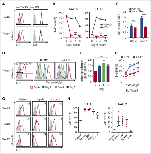 In vitro and in vivo proliferation advantage of primary T-ALL cells expressing IL-7R induced by activated Notch1. (A) IL-7R and CD5 flow cytometry analysis of primary T-ALL cells (T-ALL5 and T-ALL8, from T-ALL patients 5 and 8, respectively) cocultured for 3 days onto OP9-GFP stromal cells supplemented with rhIL-7 and either a Notch activation inhibitor (red) or DMSO as vehicle (blue). Representative results from 3 experiments are shown. Shaded graphs represent background staining. (B) Percentages of primary human T-ALL cells expressing IL-7R cultured as in (A) for the indicated days. Mean ± standard error of the mean (SEM) of triplicates from a representative experiment are shown (n = 3). (C) Total numbers of primary T-ALL5 cells recovered at the indicated days from cocultures set up onto OP9-DL4 cells in the presence of rhIL-7 and either a neutralizing anti–IL-7Rα or an isotype-matched control antibody. Data are mean ± SEM (n = 3). (D) Flow cytometry of IL-7R+ (middle panel) and IL-7R−/lo (right panel) human primary T-ALL8 cells electronically gated as shown (left panel) upon labeling with CellTrace Violet and culture onto OP9-GFP cells supplemented with rhIL-7 for the indicated times. Data are representative of triplicate cultures from 2 independent experiments. (E) Relative proliferation of IL-7R+ vs IL-7R-/lo cells in (D), calculated as CellTrace Violet dilution ratio. (F) Proliferation potential of IL-7R+ and IL-7R−/lo T-ALL8 cells cultured onto OP9-GFP stromal cells supplemented with increasing concentrations of rhIL-7. Percentages of cells in the S+G2/M phases of the cell cycle were determined by Hoestch labeling and flow cytometry of cells electronically gated as in (D) after 3 days of culture. Data are mean ± SEM of triplicate cultures from 2 independent experiments. (G) IL-7R expression levels displayed by primary T-ALL cells from 3 patients analyzed by flow cytometry at the time of diagnosis (Patient) or after serial transplantation and thymus engraftment into consecutive Rag2−/−γc−/− immunodeficient mice (1st graft and 2nd graft). Numbers show percentages of positive cells. Shaded graphs show background staining with irrelevant isotype-matched antibodies. (H) Percentages of IL-7R–expressing T-ALL cells engrafting the indicated organs 10 to 12 weeks after transplant into immunodeficient mice in (G). Data are mean ± SEM of 3 to 7 mice. Percentages at the time of diagnosis (Patient) are shown for comparison. *P < .05, **P < .01, ***P < .001. ns, not significant.
