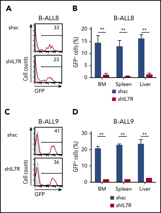 IL-7R plays a key role in LIC function and progression of human B-ALL. (A) Human primary B-ALL blasts were transduced with lentiviral vectors encoding shIL7R or a scrambled sequence (shsc), together with GFP, and cells were then injected into NSG immunodeficient mice. Mice were euthanized and analyzed for leukemic content when they presented advanced symptoms of disease. Transduction efficiency of transplanted B-ALL8 (from B-ALL patient 8) (A) and B-ALL9 (from B-ALL patient 9) (C) cells. Numbers indicate percentages of GFP+ transduced cells. Percentages of transduced (GFP+) B-ALL8 (B) and B-ALL9 (D) cells engrafting the indicated organs of host mice 10 to 11 weeks posttransplant. Mean (± SEM) percentages are shown (n = 4). **P < .01.