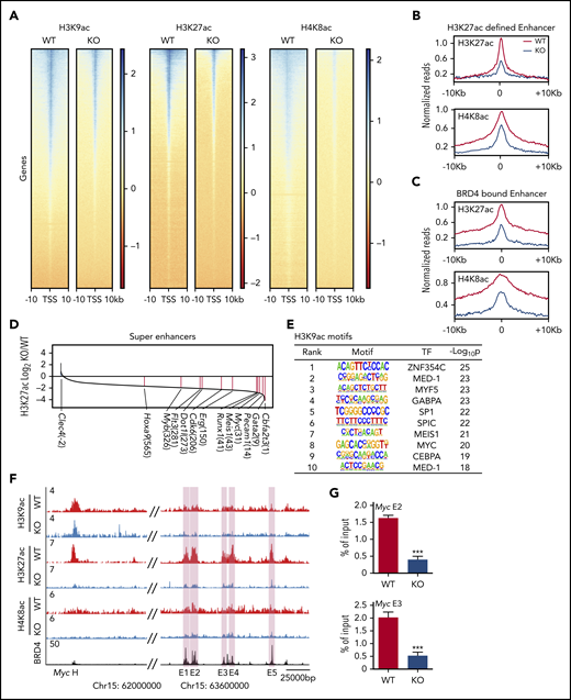 AMPK maintains histone acetylation at Brd4 binding sites. (A) Density plots of H3K9ac, H3K27ac, and H4K8ac ChIP-seq signals centered around the transcription start site. (B-C) Meta profiles of the indicated ChIP-seq dataset centered around the peak apex of 10 615 enhancer elements defined by H3K27ac signal (B) and 6522 enhancer elements defined by BRD4 occupancy based on Roe et al46 (C). (D) A waterfall plot depicting the differences in H3K27ac signals at superenhancers between WT and AMPK KO L-GMPs. The numbers in parentheses indicate the rankings of each gene. (E) Motif analysis of H3K9ac ChIP-seq data set showing the transcription factor motifs enriched in WT L-GMPs compared with AMPK KO L-GMPs. (F) ChIP-seq occupancy profiles of H3K9ac, H3K27ac, and H4K8ac of both AMPK-proficient and AMPK-deficient L-GMPs, as well as the BRD4 profile46 at the Myc locus. Myc enhancer elements E1-E5 are shown in pink shades. (G) ChIP-quantitative polymerase chain reaction to detect BRD4 occupancy at 2 Myc enhancers (E2 and E3) with WT and AMPK KO AML (n = 3). All data represent mean ± standard deviation. *P < .05; **P < .01; ***P < .001 by 1-way ANOVA.