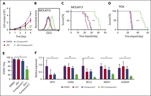 Combinatorial inhibition of AMPK and BET prolongs survival in patient-derived xenograft AML model. (A-B) MOLM13 cells were treated with JQ1 (0.05 ng/μL) and an AMPK inhibitor compound C (0.1 ng/μL) individually or in combination and cell proliferation (A) and expression of a myeloid differentiation marker CD33 (B) were analyzed (n = 3). (C-D) Survival curve of NSG-SGM3 mice treated with JQ1 (2.5 mg/kg/d) and compound C (1 mg/kg/d) individually or in combination after transplantation of MOLM13 cells (C) (n = 8) or patient-derived t(9;11) AML cells (D) (n = 8). (E) Flow cytometry analysis of mice described in (D) to detect human CD45+ cells in the peripheral blood (n = 3). (F) Quantitative PCR using human AML cells isolated from recipient mice as shown in (D) to detect the expression of key leukemogenic genes (n = 3). All data represent mean ± standard deviation. *P < .05; **P < .01; ***P < .001 by 1-way ANOVA, except for comparison of the survival curves in which the significance was accessed by a log-rank test.