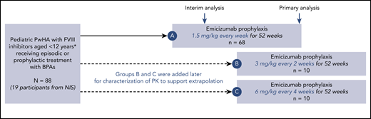 Study design. Loading dose of 3 mg/kg/week for 4 weeks in all cohorts; maintenance dose starting week 5. *With additional inclusion of persons with hemophilia A (PwHA) 12 to 17 years old weighing <40 kg. No PwHA <2 years old or 12 to 17 years old could enroll in groups B and C. A, group A; B, group B; C, group C; NIS, noninterventional study; PK, pharmacokinetics.