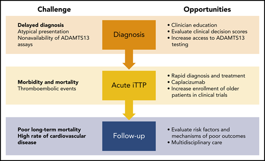 Challenges and opportunities to improve outcomes for adults with iTTP. Atypical presentations often lead to delayed diagnosis in older adults. Clinician education and improved access to diagnostic assays may reduce time to diagnosis and treatment. Thromboembolic events are the leading cause of death during acute TTP and cause significant morbidity from end-organ injury such as myocardial infarction and stroke. Using caplacizumab during acute TTP may reduce ischemic events and shorten the duration of plasma exchange, which will also reduce the risk for catheter-related complications that were common in older adults. Finally, additional research is needed to identify risk factors for worse long-term outcomes after TTP. Because cardiovascular disease (rather than TTP relapse) is associated with worse long-term survival, a multidisciplinary approach is recommended to improve the care of older adults with TTP.