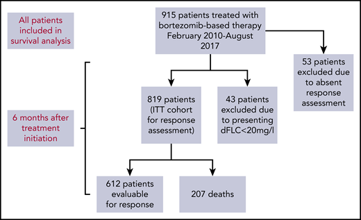 Flow diagram of patient recruitment and those included in response assessment.