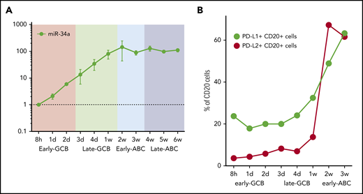 Time course of miR-34a and PD-L1 and PD-L2 protein expression in the EBV model. (A) miR-34a was serially quantified by qRT-PCR (relative to the 8-hour time point) during the EBV model. (B) PD-L1 and PD-L2 protein expression on CD20+ B cells during the time course of the EBV model of B-cell differentiation. After EBV WIL infection, PD-L1 and PD-L2 protein expression, measured by flow cytometry, rises, coincident with transition from the late GCB to early ABC phase. From 3 weeks onward, levels of PD-L1 and PD-L2 are maintained at stable levels (data not shown).
