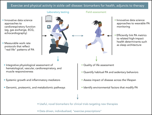 Leveraging innovative data science approaches to exercise laboratory testing and field assessments is a translational imperative in SCD that may lead to the development of novel biomarkers for new therapies and evidence-based exercise prescription. ECG, electrocardiogram.