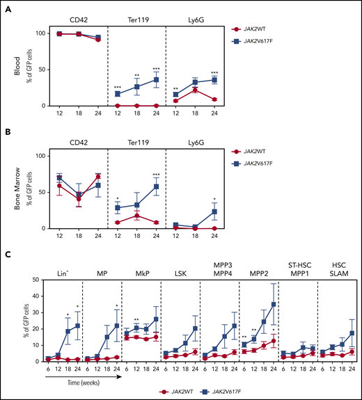 Kinetics of expansion of JAK2-mutated cells in PF4iCre;mT/mG;JAK2V617F/WTmice. Frequencies of GFP-expressing cells were assessed in the different cell populations in the blood (panel A, n = 4-12 JAK2WT; n = 5-14 JAK2V617F), in the bone marrow precursors (panel B, n = 5-9 JAK2WT; n = 4-5 JAK2V617F), and progenitors (panel C, n = 3-7 JAK2WT; n = 3-7 JAK2V617F). Data are presented as mean ± standard error of the mean. Statistical significance determined by unpaired t test. *P < .05, **P < .01, ***P < .001.