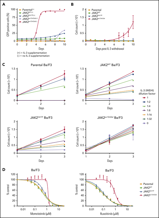 JAK2ex13InDel confers cytokine-independent growth to Ba/F3 cells. (A) Parental Ba/F3 cells were transduced with human JAK2-GFP retroviral constructs for expression of JAK2WT, JAK2V617F, or JAK2ex13InDel and cultured in WEHI conditioned medium as a source of IL-3. At 48 hours after transduction, IL-3 withdrawal led to rapid selection of JAK2ex13InDel-expressing cells (n = 3). (B) Parental Ba/F3 cells and GFP-sorted Ba/F3 cells expressing JAK2 constructs were plated at equal numbers and grown with or without IL-3. All cells proliferated in the presence of IL-3 (not shown), while only those cells containing JAK2ex13InDel exhibited exponential growth in the absence of IL-3 (n = 3). (C) Parental Ba/F3 cells and JAK2WT- and JAK2V617F-expressing Ba/F3 cells display growth sensitivity to varying concentrations of IL-3, while growth of Ba/F3 JAK2ex13InDel cells is not affected by IL-3 concentration (n = 3). (D) To assess the effect of JAK2 inhibition on Ba/F3 cells, we performed cell proliferation experiments with JAK inhibitors. The IC50 of momelotinib was increased 2-fold in JAK2ex13InDel Ba/F3 cells (n = 3). The IC50 of ruxolitinib was increased 10-fold in JAK2ex13InDel Ba/F3 cells compared with controls and JAK2V617F Ba/F3 cells.