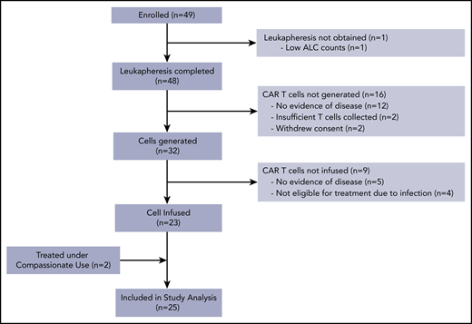 Study flow. Study course for participants from the time of enrollment to treatment.