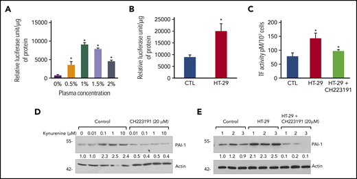 Increased AHR activity and TF and PAI-1 levels in endothelial cells treated with plasma from animals with xenografts. (A) Optimum concentration of mouse plasma for AHR activity. Endothelial cells stably expressing a xenobiotic responsive element promoter-luciferase reporter construct were treated for 24 hours with indicated concentrations of plasma from 3 athymic control mice (without xenograft). AHR activity was quantified by firefly luciferase units and normalized to amount of protein. An average of 3 independent experiments is shown. Error bars = SEM. Compared with cells treated with serum-free medium (control), P values were .04, .003, .02, and .03 for plasma concentration of 0.5%, 1%, 1.5%, and 2%, respectively. (B) Higher AHR-inducing activity of plasma from mice with a colon cancer xenograft. AHR activity assay was performed as noted earlier by using 1% plasma obtained from mice with a colon cancer xenograft. An average of 2 independent determinations performed in duplicate is shown. Plasma samples obtained from 8 mice per group as described in Figure 1A were used. Error bars = SEM. P = .007 for plasma from xenograft-bearing (HT-29) animals compared with matching controls (CTL). (C) Higher TF-inducing activity of plasma from mice with a colon cancer xenograft. Endothelial cells were treated for 24 hours with 1% plasma obtained from mice with a colon cancer xenograft with or without 20 µM of CH223191. Plasma from animals without tumors served as negative controls as described in Figure 1A. The cells were subjected to procoagulant TF activity assay by using Factor VIII and Factor XIa and chromogenic substrate (see Methods). An average of 2 independent experiments with plasma obtained from 8 animals per group performed in duplicates is shown. Error bars = SEM. *P = .019 compares CTL and HT-29 and P = .047 HT-29 and HT-29 + CH223191. (D) Kyn increases PAI-1 in an AHR-dependent manner. Endothelial cells treated with a titrated concentration of Kyn as shown with or without AHR inhibitor CH223191 for 24 hours. Using western blotting, equal amounts of lysates were probed separately on different blots for PAI-1 and β-actin (loading control) due to the proximity of the molecular weights. Representative immunoblots from 3 independent experiments are shown. Molecular weight ladder (kDa) is shown on the left of the blot. The PAI-1 band normalized to β-actin by using ImageJ is shown, and values obtained are noted below the PAI-1 blot. (E) Endothelial cells treated with 1% plasma from control and HT-29 mice as alluded in Figure 1A with or without 20 µM of CH223191 for 24 hours. The lysates from 3 separate representative mice are shown from a total 8 mice per group. Actin served as a loading control.