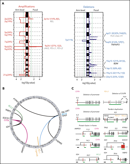 SCNAs and SVs in PMBL. (A) GISTIC2.0-defined recurrent somatic copy number gain (red, left panel) and loss (blue, right panel) are visualized as mirror plots with arm-level alterations to the left and focal alterations to the right. Chromosomes are depicted on the vertical axis. Green line denotes the significance threshold (q < 0.1). Significant peaks are labeled with their associated cytoband/arm followed in brackets by frequency of the alteration, the number of total genes, and Cancer Gene Census genes in the significant regions, respectively. Genes that are also significantly mutated are shown in black, and other relevant drivers are shown in gray. Note that the significant focal deletion in 16p13.3 does not include CREBBP.87 (B) Detected chromosomal rearrangements are visualized as a circos plot.88 (C) Select SVs and their breakpoints are plotted in their genomic context. Exons are visualized as boxes: start codon-containing exons in red, untranslated regions are in smaller boxes, coding exons are underlined in green, and previously identified superenhancers74 in black. Numbers indicate the supporting reads for the plotted SV in the format: split-reads, read-pairs. SV type is listed if it is not a translocation.