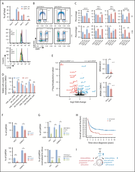 Figure 6. Loss of HLF expression accelerates G1/S transition and reduces the expression levels of HES1 and CDKN1C. (A) CFSE experiment performed with sgGFP and sgHLF cells harvested from secondary recipients. (Upper) Fractions of cells in generations 3 to 6, 4 days after incubation with CFSE. Shown are results of mice injected with 2 × 106 sgGFP (n = 2 mice, 3 cultures per sample) or 2 × 106 sgHLF cells (n = 3 mice, 3 cultures per sample). *P < .05. (Lower) Representative histograms showing distribution of generations 4 days after experiment start. Blue bar indicates starting CFSE intensity, green bar indicates background fluorescence intensity. Numbers indicate mouse IDs. Data from recipients of 105 cells available in supplemental Figure 7A-B. (B) Representative FACS plots of EdU experiment performed with sgGFP and sgHLF cells harvested from secondary recipients injected with 105 cells. Shown is distribution of cells in different cell cycle phases after 90-minute pulse with EdU (t0) and 14 hours later (t14h). Numbers indicate percentages of total. 4′,6-diamidino-2-phenylindole was used to determine DNA content, EdU was detected in fluorescein isothiocyanate channel. (C) EdU experiment performed with cells harvested from secondary recipients injected with either 2 × 106 cells (sgGFP, n = 2; sgHLF, n = 3) or 105 cells (sgGFP, n = 3; sgHLF, n = 3). Shown are mean percentages (and standard deviations) of cells in the indicated cell cycle phases after 90-minute EdU pulse (upper) and after 14 hours (lower) of all viable cells. *P < .05; **P < .005; ***P < .0005. (D) Compound sensitivity testing. Cells harvested from secondary recipients injected with either 2 × 106 cells (sgGFP n = 4 cultures from 2 different mice; sgHLF, n = 6 cultures derived from 3 different mice) or 105 cells (n = 6 cultures derived from 3 different mice per group) were exposed to 50 nM AraC, 50 nM daunorubicin, or 2 µM etoposide compared with DMSO (vehicle) for 5 days. Viable cell counts on day 5 were normalized to cell counts in DMSO. *P < .05; ***P < .0005. (E, left) Volcano plot showing log2-fold changes in mRNA expression (x-axis) and transformed P values (y-axis) for RNA-Seq data performed on triple-mutated cells after 1 round of in vivo expansion, followed by infection with shRNAs against HLF (shHLF.630, n = 3) or shLuc control (n = 3). Data points highlighted by colors represent genes with log2-fold change more than 1 (blue) or less than −1 (red) and FDR<10%. Because of space constraints, not all gene symbols are displayed. See also supplemental Table 10 for gene names. (Right) Mean RPKM values for HES1 (upper) and CDKN1C (lower), n = 3 per group. *P < .05. (F) Expression levels in percentage of GAPDH expression determined by quantitative PCR (qPCR) for HES1 and CDKN1C in sgHLF vs sgGFP cells from primary recipients (upper, sgGFP: #247, #246 vs sgHLF: #197, #198, #199) and secondary recipients (lower, sgGFP: #8013, #8014 vs sgHLF: #8248, #8249). *P < .05; **P < .005. (G, upper) HLF, CDKN1C, and HES1 expression in percentage of GAPDH expression determined by qPCR in the model leukemia MN1/ND13 after lentiviral transduction with shRNA against HLF (sh.630) vs shLuc control after 1 round of in vivo expansion (n = 3 recipients). (Lower) HLF and HES1 expression in healthy cord blood CD34+ cells after lentiviral transduction with 2 different shRNAs against HLF or shLuc control 5 days after infection normalized to shLuc. Numbers indicate mean fractions of shLuc. (H) Kaplan-Meier survival curves showing overall survival from time of diagnosis in patients from the Leucegene prognostic cohort with very high (4th quartile, red line) vs low HLF expression (quartiles 1-3, blue line). Log-rank test. (I) Model indicating the proposed functional role of HLF in triple-mutated AML. HLF induces upregulation of HES1 and CDKN1C, decelerates cell cycle progression, and maintains the CD34+GPR56+ compartment in vivo. Gen, generation; K, thousand; M, million.