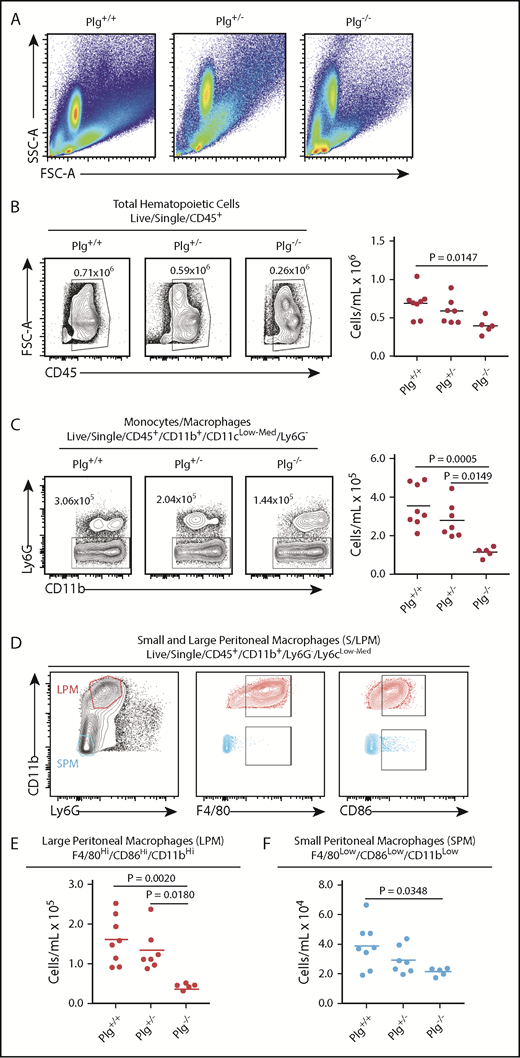 Figure 1. Plasminogen promotes macrophage and dendritic cell accumulation at sites of inflammation. (A) FSC vs SSC plots for all genotypes represent all cell populations. Flow cytometry analysis of peritoneal lavage fluid at 72 hours after intraperitoneal thioglycollate injection shows decreased accumulation of total hematopoietic cells (B) and monocytes/macrophages (C) in the peritoneal cavity of plasminogen-deficient mice. The left panels in B and C are examples of flow cytometry of lavage fluid from individual mice. (D) Macrophages displayed differential expression levels of CD11b, Ly6C, CD86, and F4/80 markers. Thioglycollate stimulation significantly affected the large peritoneal macrophage (LPM) population (E), whereas the SPM population was mildly affected (F). Data are shown as individual values, with means and standard errors indicated.