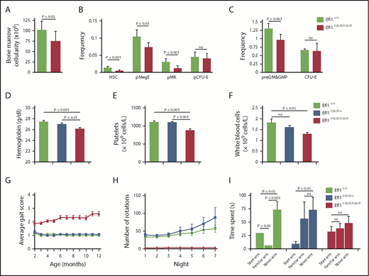 Figure 5. Impaired hematopoiesis, motor abnormalities, and cognitive deficits in Efl1K983R/K983R mice. (A) Bone marrow cellularity in wild-type and homozygous Efl1K983R/K983R mice is indicated. (B-C) Frequencies of hematopoietic stem cells (HSCs); megakaryocyte, granulocyte, erythroid progenitors (pMegE); megakaryocyte progenitors (MkP); myeloid progenitors (pre–granulocyte-monocyte/granulocyte-monocyte progenitors); and erythroid progenitors (pCFU-E and CFU-E) in the bone marrow in the indicated genotypes are shown (n = 8 per genotype).34 EFL1 K983R mutation affects hematopoiesis. Hemoglobin levels (D), platelets (E), and total white blood cell counts (F). (G) Gait abnormalities in K983R mutant mice. Gait was analyzed using a qualitative scoring system at selected time points. Scores are explained in Materials and methods. (H) Motor deficits in EFL1 K983R mutant mice. Free wheel-running activity (over 7 nights, 3 months of age) for the indicated genotypes. (I) Cognitive deficits in K983R mutant mice. Y maze habituation testing of the indicated genotypes at 3 months of age. For all tests, P values are indicated.