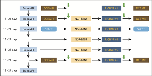 Figure 1. Trial design. Enrolled patients received a first course of R-CHOP that was not preceded by NGR-hTNF, while the other 5 courses were preceded by NGR-hTNF. Each of the lines corresponds to a treatment course. The first column represents gadolinium-enhanced MRI (brain MRI) performed for response assessment; the second column represents cerebral DCE-MRI and SPECT performed before treatment course (day 0) and used as baseline data; the third and fourth columns represent treatment courses; the fifth column represents DCE-MRI and SPECT performed after treatment and used to assess changes in BBB permeability. Arrows represent collection of CSF and plasma samples.