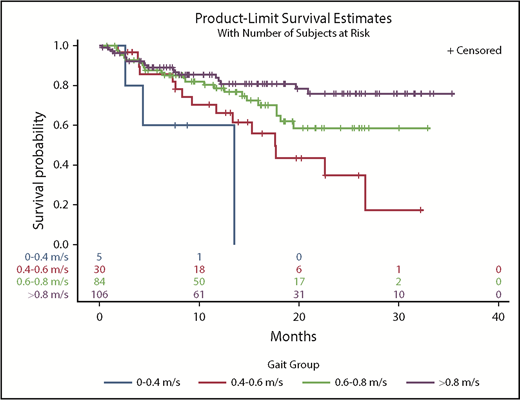 Figure 2. Kaplan-Meier survival curves by gait speed categories in the subset of patients with very good PS (ECOG = 0 or 1).