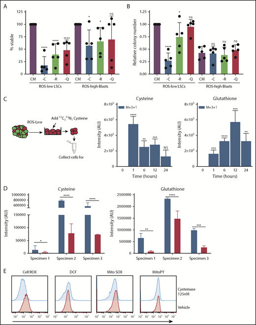 Figure 1. Cysteine depletion targets leukemia cells in a glutathione-dependent manner. (A) Viability of ROS-low LSCs and AML ROS-high blasts cultured without cysteine (-C), arginine (-R), or glutamine (-Q) for 24 hours normalized to cell cultured in complete media. (B) Colony number of primary AML ROS-low LSCs and AML ROS-high blasts after a 24-hour culture with (CM) or without cysteine (-C), arginine (-R), or glutamine (-Q). The methylcellulose contained all amino acids. Data were normalized to colony number in CM ROS-low LSCs. (C) Stable isotope-labeled cysteine and glutathione in ROS-low LSCs after incubation with cysteine (13C315N) for 1, 6, 12, or 24 hours. Y-axis represents intensity of metabolite detected by mass spectroscopy in arbitrary units (AU). The experiment was run in replicates of 5. (D) Cysteine and glutathione levels in ROS-low LSCs 8 hours postincubation with 125 nM cyst(e)inase. (E) Representative data of levels of cellular (measured by CellROX and DCF) and mitochondrial (measured by MitoSOX and MitoPY) reactive oxygen species in vehicle and cyst(e)inase-treated cells for 8 hours. Statistical significance was determined by a 2-way analysis of variance analysis. *P < .05; **P < .01; ***P < .005; ****P < .001.