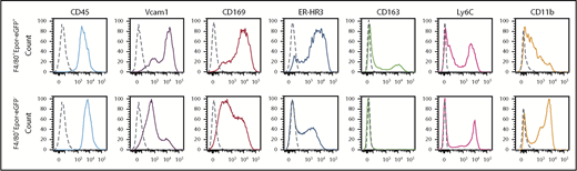 Figure 3. Expression of monocyte/macrophage surface markers on mouse BM F4/80+Epor-eGFP+ and F4/80+Epor-eGFP−macrophages. Representative flow cytometry analyses revealing differential expression of indicated surface markers on the BM F4/80+Epor-eGFP+ macrophages (top) or F4/80+Epor-eGFP− macrophages (bottom). Dotted line: fluorescence-minus-one. N = 6.