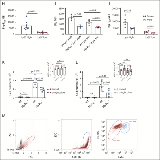 Monocyte subsets and Plg-RKT. (A) Peripheral blood mononuclear cells were isolated from leukapheresis chambers obtained from healthy thrombocyte donors using lymphocyte separation medium 1077 (PromoCell, Heidelberg, Germany) and used for either monocyte subset isolation employing anti-CD45, anti-CD14, and anti-CD16 antibodies or for generating macrophages as described.15,26 Gating strategy for human monocyte subsets in whole blood is shown. The relative amounts of cells per subset were in accordance with published data, CM: 76% ± 5%, IM: 5% ± 2%, NCM: 19% ± 7%.15 (B) Mean fluorescent intensities (MFIs) of Plg-RKT on human monocyte subsets (n = 12). Monocytes in freshly drawn blood were stained with anti-CD14 antibody (PerCP/Cy5.5, Clone HCD14), anti-CD16 antibody (APC-Cy7, Clone 3G8), anti-CD45 antibody (Pacific Blue, Clone HI30), and anti–Plg-RKT mouse monoclonal mAb7H1, prepared and characterized in our laboratory.6,7 Samples were analyzed with a Novocyte Flow cytometer (ACEA Biosciences, San Diego, CA). (C) Plg-RKT mRNA levels in human monocyte subsets. Cells were sorted based on CD14 and CD16 expression into CMs, IM, and NCMs using a BD FACSAria (BD Biosciences, Franklin Lakes, NJ), and afterward, RNA was isolated for quantitative polymerase chain reaction. Primer sequences for Plg-RKT were “tggaacccttttagaaagaatga” and “ttggcagctgcaatttactc” (Universal Probe Library, #73; Roche, Basel, Switzerland). Glyceraldehyde-3-phosphate dehydrogenase was used for normalization (n = 3). (D) Plasminogen binding to human monocyte subsets in the presence or absence of anti–Plg-RKT mAb (clone7H1, developed and characterized in our laboratory)6,7 or EACA. PBMCs were stained with fluorochrome-labeled antibodies against CD45, CD14, and CD16 and incubated with FITC-labeled plasminogen (0.5 µM; n = 9).6 Fluorescence was measured with a Novocyte Flow cytometer. To test specificity of plasminogen binding, samples were additionally incubated with EACA (0.2 M; Sigma Aldrich, St. Louis, MO; n = 9) or with anti–Plg-RKT mAb (140 nM; n = 3). (E) Cell migration of human monocyte subsets in the presence or absence of plasminogen. Sorted IMs were seeded into inserts of Costar Transwell Permeable Supports (5.0-µm pore size; Corning, New York, NY) in RPMI 1640 containing 1% bovine serum albumin (both from Sigma Aldrich). Cells were incubated in total for 1 hour at 37°C, 5% CO2 in a humidified incubator. After 15 minutes, cells were either preincubated with anti–Plg-RKT mAb (280 nM; filled triangles, n = 6), isotype control antibody (280 nM; BD Biosciences; open squares, n = 3), or uPA aminoterminal fragment (50 ng/mL; Sekisui Diagnostics, Lexington, MA; filled diamonds, n = 4), or after an additional 30 minutes either EACA (0.2 M; open diamonds, n = 5) or aprotinin (2 µM; Sigma Aldrich; half-filled diamonds, n = 3) was added. Then plasminogen (0.4 µM; Roche) was added. Control cells were incubated for the times indicated above in vehicle only (n = 5). The number of migrated cells under this condition was set at 1, and values under experimental conditions are expressed as x-fold migration compared with control. As additional controls, cells were treated with anti–Plg-RKT mAb (280 nM; open triangles, n = 5) in the absence of plasminogen. Then, inserts were transferred into wells containing complete culture medium containing N-formyl-met-leu-phe (100 nM; Sigma Aldrich) as a chemoattractant. Cells were allowed to migrate for 3 hours at 37°C. Cells on the bottom side of the membrane were fixed with 4% paraformaldehyde and washed with phosphate-buffered saline. Membranes were then cut out and mounted on slides with Prolong Gold Antifade mounting medium (Thermo Fisher Scientific, Waltham, MA) and analyzed on a Zeiss Axio Imager fluorescence microscope. For calculating cell migration, cells on 5 randomly selected microscopic fields (magnification ×40) of the insert membrane were counted for every condition. Plasminogen-dependent migration was not exhibited by CMs or NCMs (CM: 0.9-fold vs control; NCM: 1.1-fold vs control). $P < .05 as compared with control; #not significant as compared with control; *P < .05, **P < .01, ***P < .001, as compared with plasminogen only; §not significant as compared with plasminogen only. (F) MFIs of uPAR on human monocyte subsets (n = 4). Cells were stained with anti-uPAR antibody (phycoerythrin; Clone VIM5; BioLegend, San Diego, CA). (G) Gating scheme for murine monocyte subsets in whole blood. Mouse monocytes were isolated from whole blood, and subsets were gated employing anti-CD11b and anti-Ly6C antibodies29 (Biolegend) using a Novocyte flow cytometer (ACEA Biosciences). (H) MFIs of Plg-RKT in murine monocyte subsets (n = 8; female, n = 4; male, n = 4). Whole blood samples were stained with anti-CD11b (allophycocyanin; Clone M1/70, BioLegend), anti-Ly6C (Phycoerythrin; Clone HK1.4, BioLegend), and anti–Plg-RKT antibody mAb.6,7 (I) Plasminogen binding to murine monocyte subsets in whole blood from female Plg-RKT+/+ wild-type (WT) mice and Plg-RKT−/− mice incubated with FITC-labeled plasminogen (0.5 µM; n = 3). Plg-RKT gene targeted mice (8-10 weeks of age) were backcrossed 10 generations into the C57Bl/6J background. (All animal experiments were approved by the Institutional Animal Care and Use Committee of The Scripps Research Institute.) (J) MFIs of Plg-RKT cell surface expression on murine male and female monocyte subsets. Whole blood samples were stained with anti-CD11b, anti-Ly6C, and anti–Plg-RKT as described in the legend to panel H (n = 8; 4 male and 4 female). (K) Ly6Chigh and (inset) Ly6Clow monocytes recovered in the peritoneal lavage of female Plg-RKT+/+ WT mice and Plg-RKT−/− mice either untreated (triangles) or 72 hours following intraperitoneal (IP) injection with thioglycollate (circles), as used previously in our laboratory7,8 (without thioglycollate treatment: n = 6 mice per group; with thioglycollate treatment: n = 5 mice per group). (L) Ly6Chigh and (inset) Ly6Clow monocytes recovered in the peritoneal lavage of male Plg-RKT+/+ WT mice and Plg-RKT−/− mice either untreated (triangles) or 72 hours following IP injection with thioglycollate (circles) (without thioglycollate treatment: n = 6 mice per group; with thioglycollate treatment: n = 5 mice per group). (M) Gating scheme for murine monocyte subsets in peritoneal lavage 72 hours following IP injection with thioglycollate. Mouse monocytes were isolated from peritoneal lavage and gated employing anti-CD11b and F4/80 antibodies (Biolegend) using a Novocyte flow cytometer (ACEA Biosciences). Values are displayed as MFIs (B,D,F, and H-J), delta cycle threshold (ΔCt) (C), fold change vs control (E), or total cell number (K,L) ± standard error of mean. Red symbols are used for CMs; blue symbols are used for IMs, and green symbols are used for NCMs for human monocytes (A-F). Blue symbols are used for Ly6Chigh, and red symbols are used for Ly6Clow murine monocytes (G-M). Statistical significances were calculated using analysis of variance and Tukey’s post hoc test when >2 groups were compared (B-F,I,K-L), and values of P < .05 were considered significant and are provided in the respective panels. Student t tests (unpaired) was used for comparison of 2 groups (H,J) and values of P < .05 were considered significant and are provided in the respective panels. FSC, forward scatter; n.s., not significant; SSC, sideward scatter.