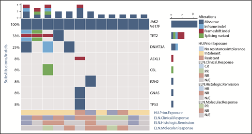 Figure 1. Baseline genomic alterations. The genomic profiles of 11 patients as determined by next-generation sequencing studies are shown. Each column represents an individual patient. Bars at the top indicate the number of alterations identified per patient. Mutated genes are listed on the right. Frequency of each mutation in these 11 patients is listed on the left. Type of alteration is denoted by key. Additionally, prior hydroxyurea (HU) exposure qualified by intolerance or resistance is shown below, and this is further coupled to the clinical, pathologic, and molecular response by ELN criteria for each patient. HR, histologic response; N/E, not evaluable; NR, no response.